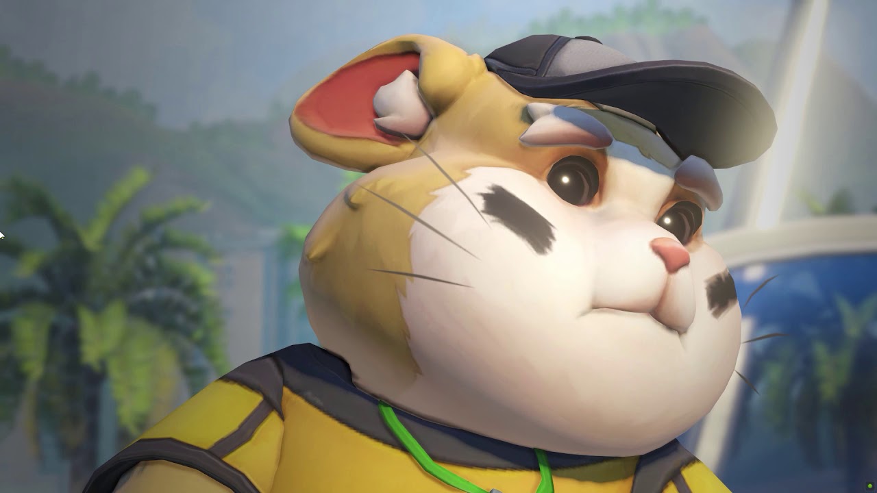 【OW2】ハム使いが語る前線維持＆敵タンク潰し＆自衛力を兼ね備える『理想の味方構成』