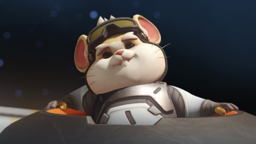 【OW2】グラマスハムメインが語る『やられると一番キツいハムの対処法』