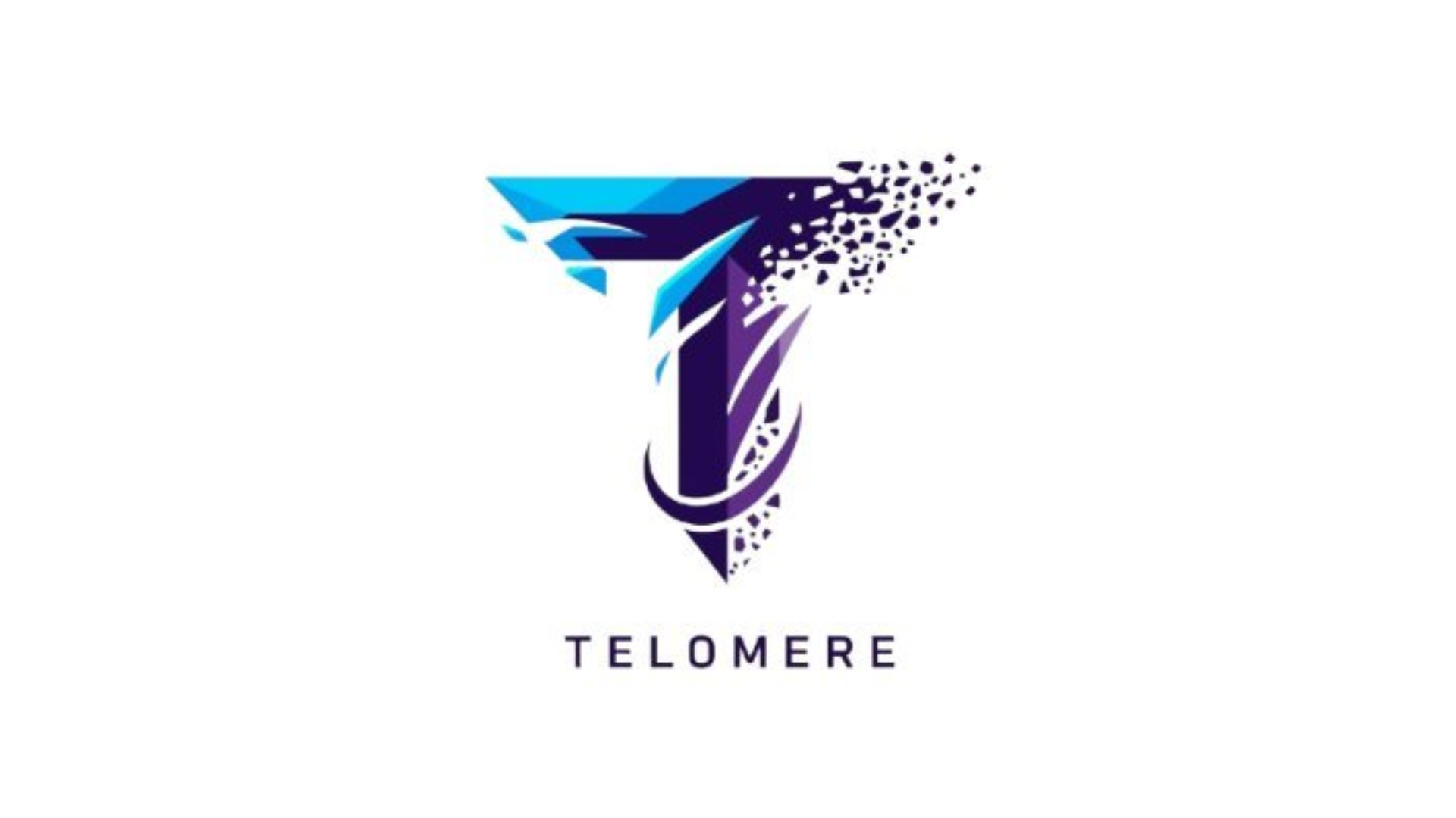 【速報】元高校生チームのTelomereに傭兵が集結。OWCS Japan Stage3本戦参戦