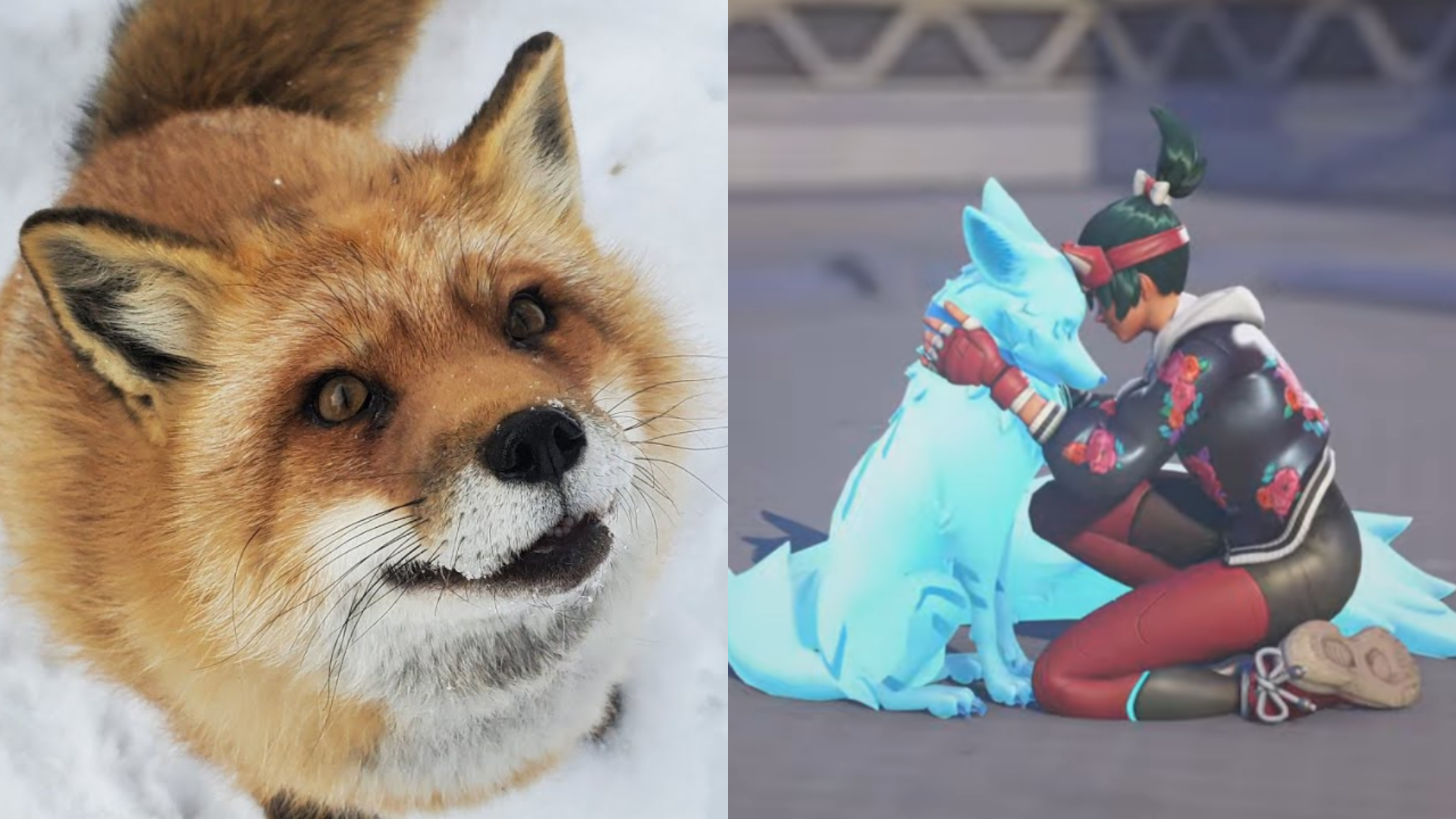 【OW2】キツネULTの声の元になった「フィネガン」が安楽死されていた—訃報に海外ファン悲しみの声