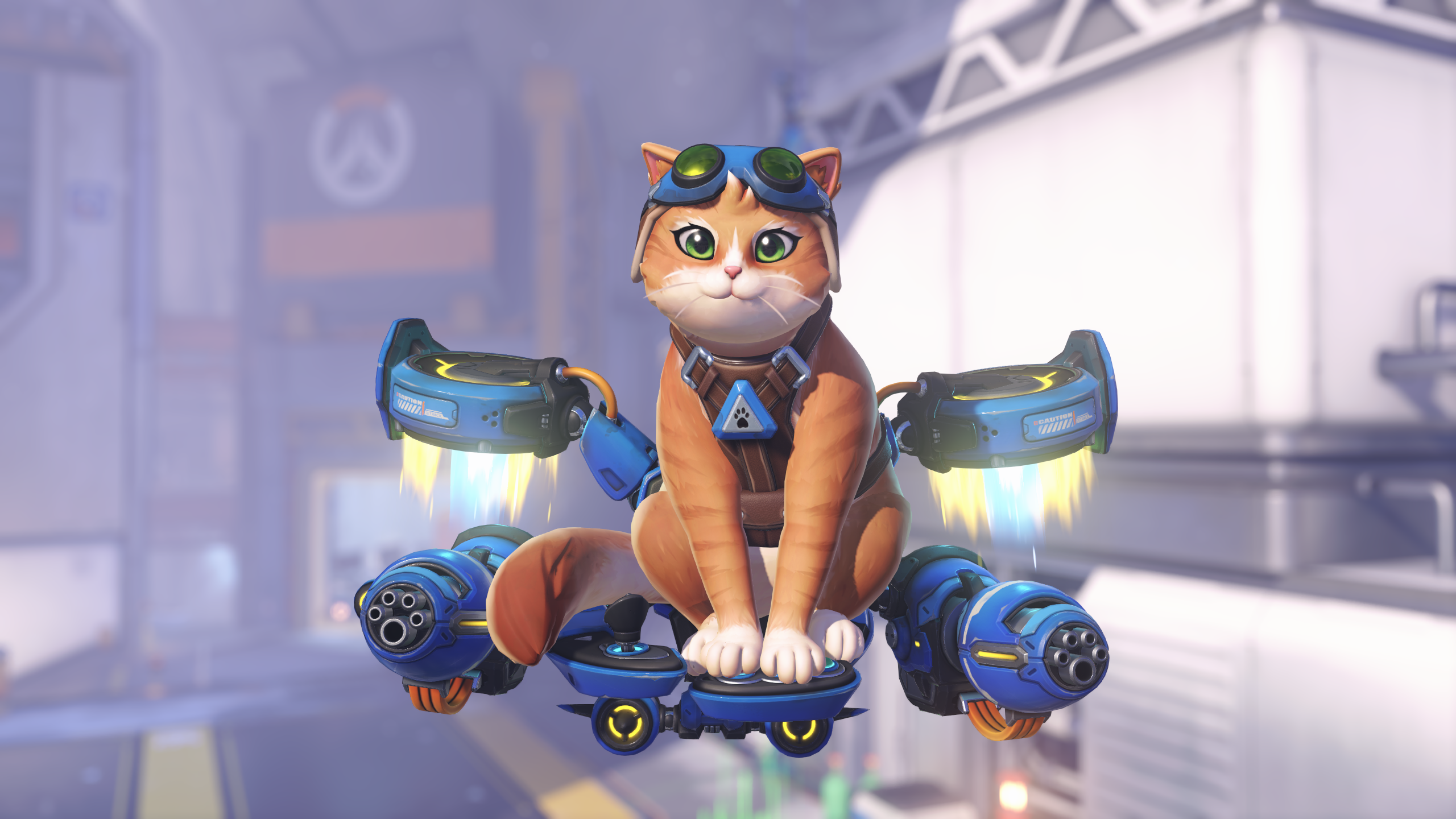 【OW】猫をプレイしてて一番悲しい瞬間がコチラ