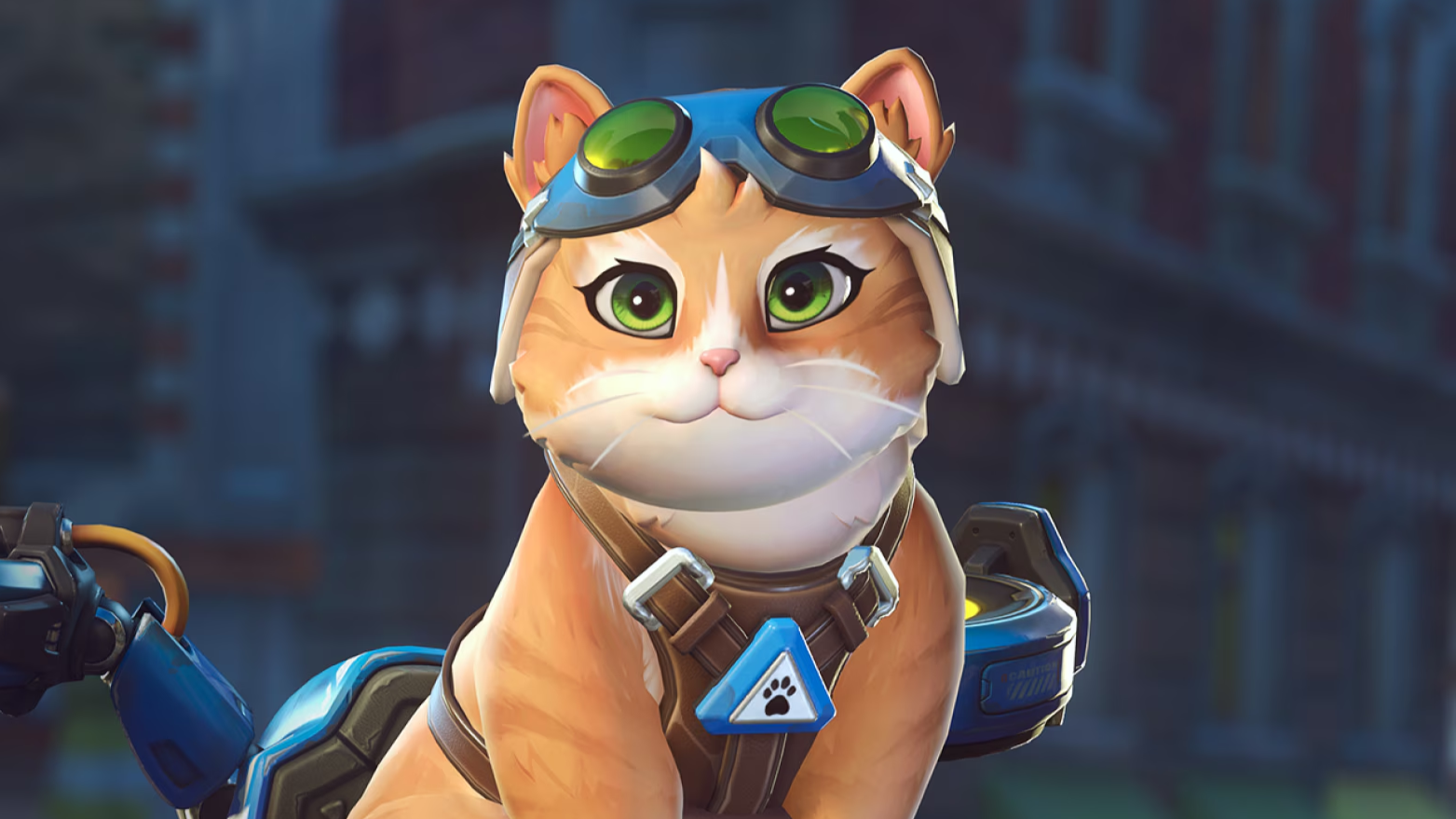 【速報】ネコ弱体化