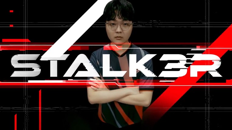 【OW】Stalk3rのCrazy Raccoon正式加入がついに発表—海外勢の反応まとめ